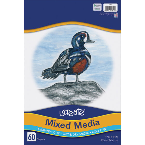 Mixed Media Art Paper, Heavyweight, 12" x 18", 60 Sheets Per Pack, 2 Packs