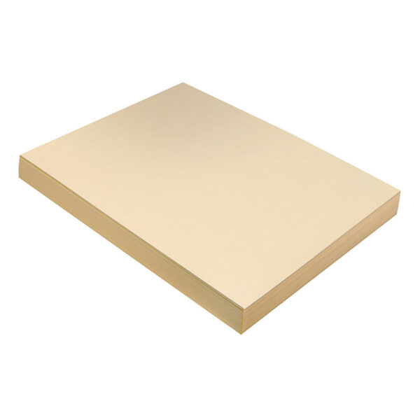 ERSPAC5111-2_1.jpg Heavyweight Tagboard, Manila, 9" x 12", 100 Sheets Per Pack, 2 Packs