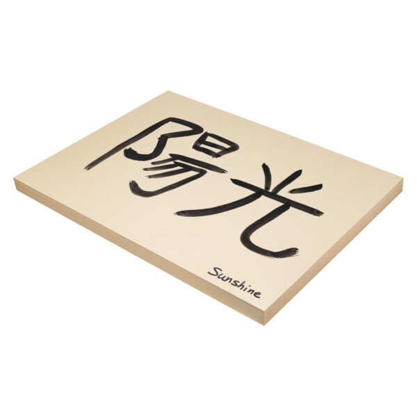 ERSPAC5120_1.jpg Heavyweight Tagboard, Manila, 18" x 24", 100 Sheets