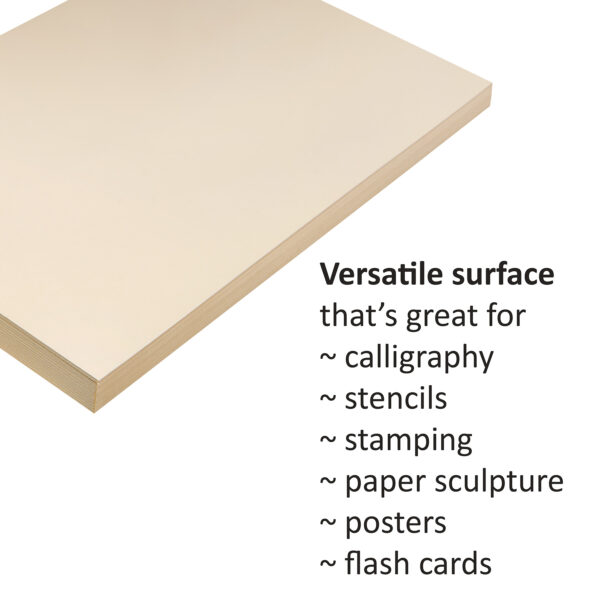 ERSPAC5181-3_1.jpg Medium Weight Tagboard, Manila, 9" x 12", 100 Sheets Per Pack, 3 Packs