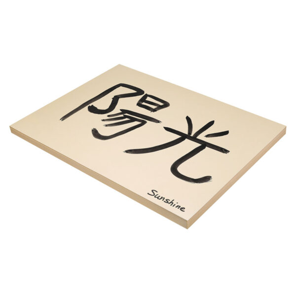 ERSPAC5190_1.jpg Medium Weight Tagboard, Manila, 18" x 24", 100 Sheets