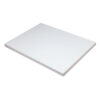 ERSPAC5290.jpg Medium Weight Tagboard, White, 18" x 24", 100 Sheets