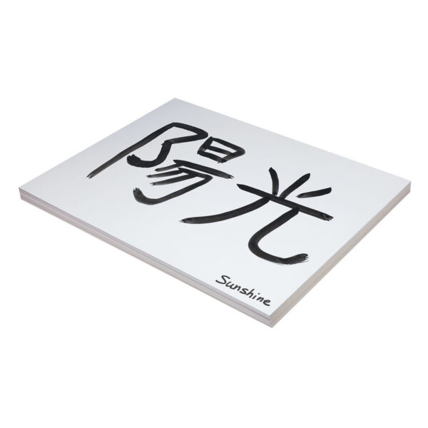 ERSPAC5290_1.jpg Medium Weight Tagboard, White, 18" x 24", 100 Sheets