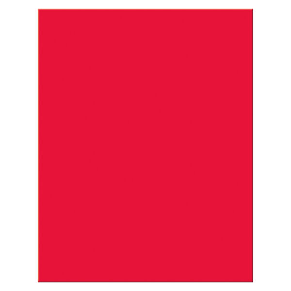 Premium Coated Poster Board, 5 Primary Assorted Colors, 22" x 28", 25 Sheets