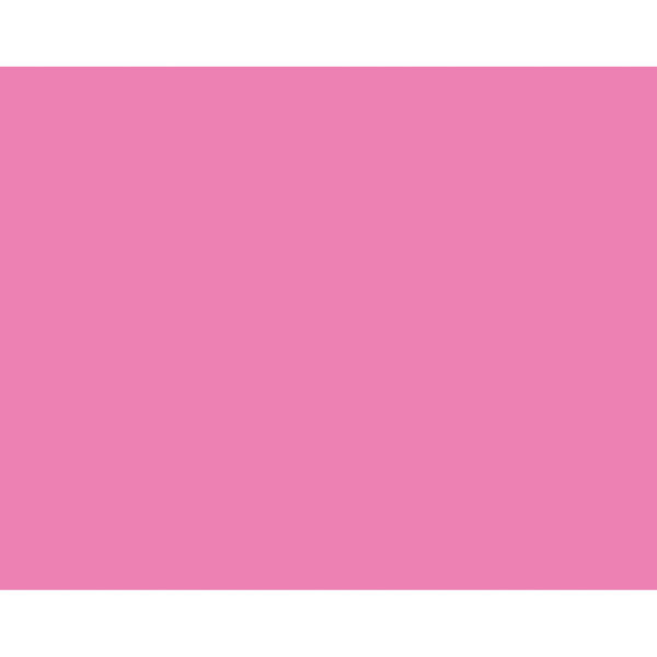 Neon Coated Poster Board, Neon Pink, 22" x 28", 25 Sheets