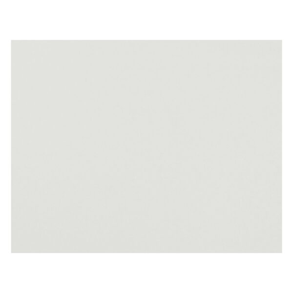 4-Ply Railroad Board, White, 22" x 28", Pack of 50