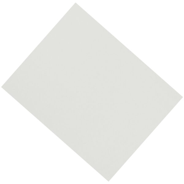 4-Ply Railroad Board, White, 22" x 28", Pack of 50