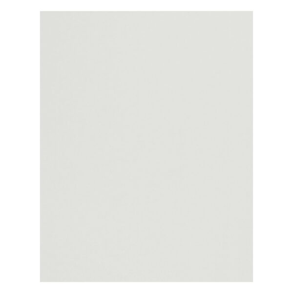 4-Ply Railroad Board, White, 22" x 28", Pack of 50