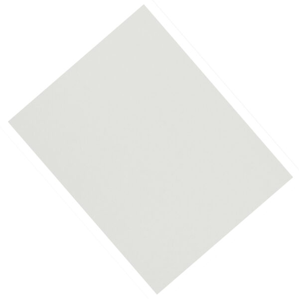 4-Ply Railroad Board, White, 22" x 28", 100 Sheets