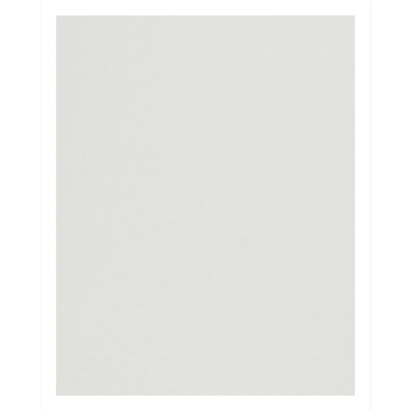 4-Ply Railroad Board, White, 22" x 28", 100 Sheets