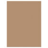 Construction Paper, Medium Weight, Light Brown, 9" x 12", 50 Sheets Per Pack, 10 Packs