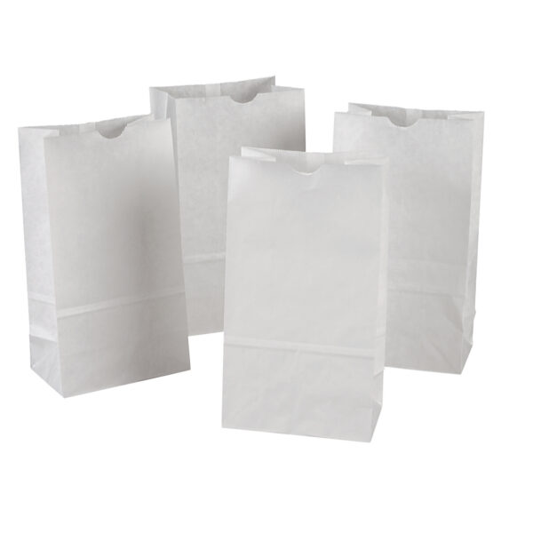 Kraft Bag, White, 6" x 3-5-8" x 11", 100 Bags Per Pack, 2 Packs