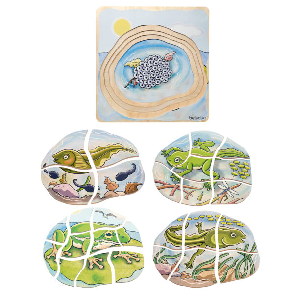 ERSPLWB17053.jpg Layer Puzzle, Frog