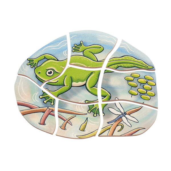 ERSPLWB17053_3.jpg Layer Puzzle, Frog