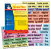 ERSPSZP245R.jpg Spanish High-Frequency Vocab Card Set