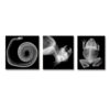 ERSR-5910_1-3.jpg Animal X-Ray Set, Set of 14