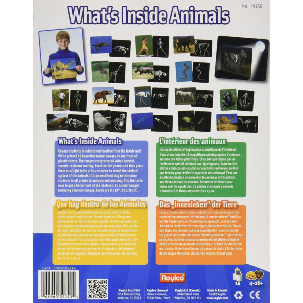 ERSR-59250_1-3.jpg Whats Inside Animals Card Set