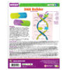 DNA Builder, 9 Pieces