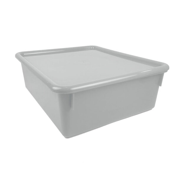 Double Stowaway Tray with Lid, White