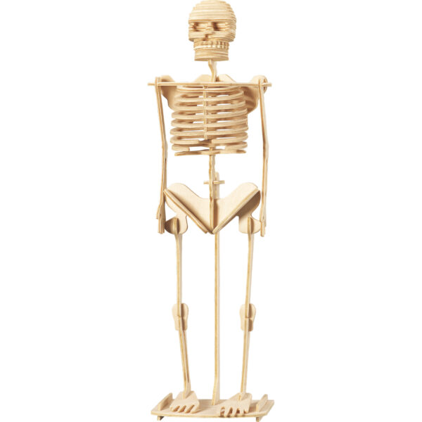 Wonders of Learning Tin Set, Discover the Human Body