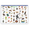 ERSRWPTS02_2.jpg Wonders of Learning Tin Set, Discover Bugs
