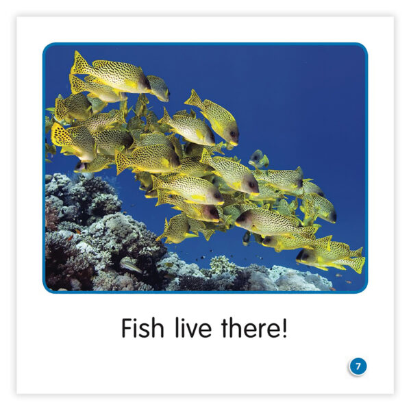 Guided Science Reader, Levels B, Parent Pack, Pack of 16 Books