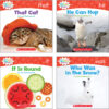 Nonfiction Sight Word Readers Classroom Tub, Level A, 6 Copies of 25 Titles