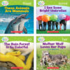 Nonfiction Sight Word Readers Classroom Tub, Level C, 6 Copies of 25 Titles