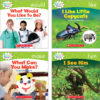 Nonfiction Sight Word Readers Classroom Tub, Level C, 6 Copies of 25 Titles