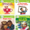 Nonfiction Sight Word Readers Classroom Tub, Level C, 6 Copies of 25 Titles