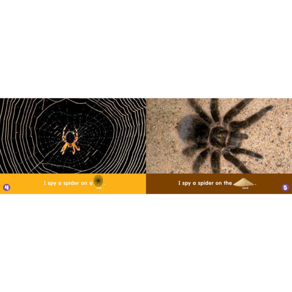 Let's Find Out: My Rebus Readers Box 1 - Multiple Copy Set