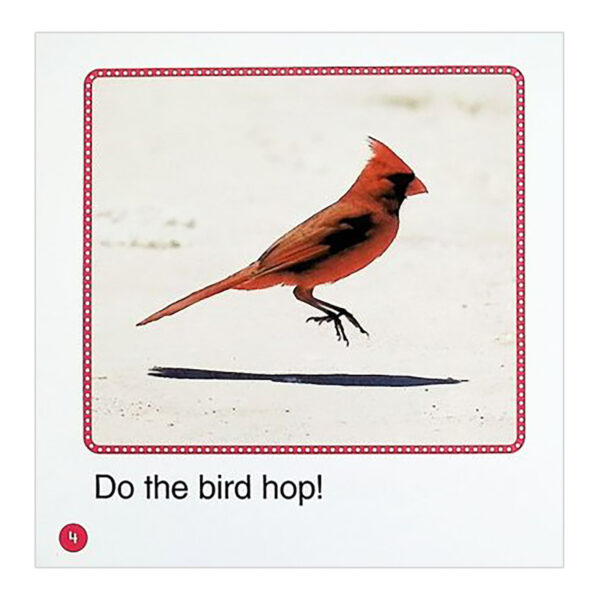 Let's Find Out Readers: Animals & Nature - Guided Reading Levels A-D (Single-Copy Set)