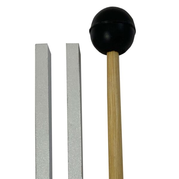 Tuning Fork and Striker