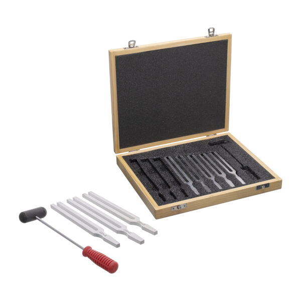 ERSSKFPH36126.jpg Tuning Forks With Hammer, Aluminum, Set of 8