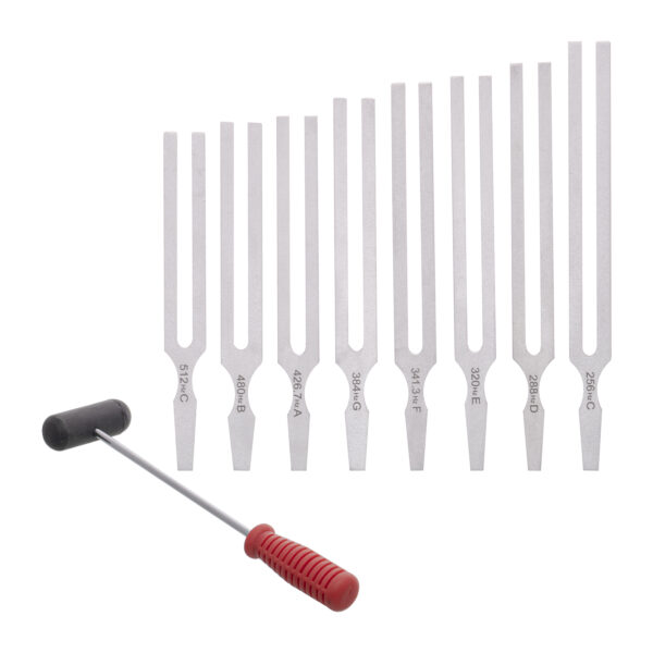ERSSKFPH36126_2.jpg Tuning Forks With Hammer, Aluminum, Set of 8