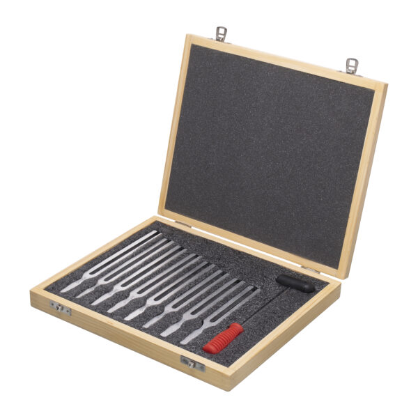 ERSSKFPH36126_4.jpg Tuning Forks With Hammer, Aluminum, Set of 8