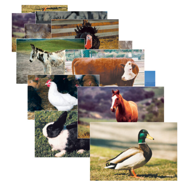 ERSSLM152.jpg Farm Animal Real Life Learning Poster Set, Set of 10