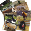 ERSSLM152_1.jpg Farm Animal Real Life Learning Poster Set, Set of 10