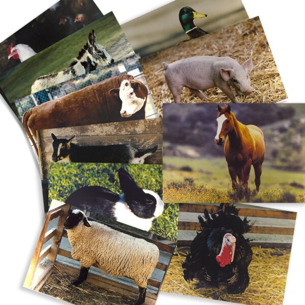 ERSSLM152_1.jpg Farm Animal Real Life Learning Poster Set, Set of 10