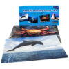 Sea Life Poster Set, Set of 14
