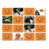 ERSSLM221-3_2.jpg Pets Photographic Memory Matching Game, Pack of 3