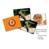 ERSSLM221-3_3.jpg Pets Photographic Memory Matching Game, Pack of 3