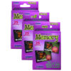 ERSSLM223-3.jpg Photographic Memory Matching Game, Insects & Bugs, Pack of 3