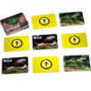 ERSSLM223-3_7.jpg Photographic Memory Matching Game, Insects & Bugs, Pack of 3