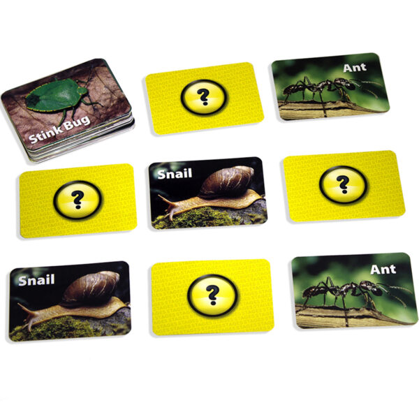 ERSSLM223-3_7.jpg Photographic Memory Matching Game, Insects & Bugs, Pack of 3