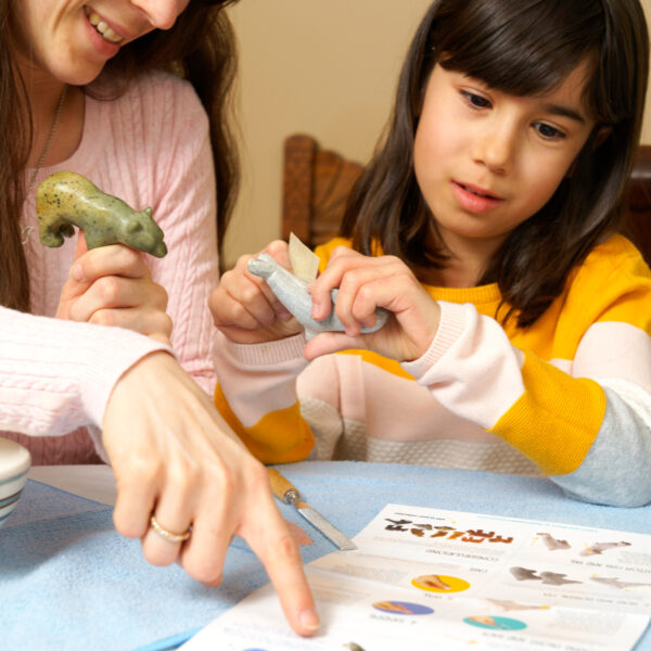 V+S pointing-0567 Seal Soapstone Carving Kit