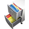 2 Drawer Mobile File Cabinet with Lock, Gray