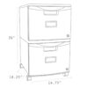 2 Drawer Mobile File Cabinet with Lock, Gray