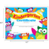 Kindergarten Certificate Owl-Stars!, 30 Per Pack, 6 Packs