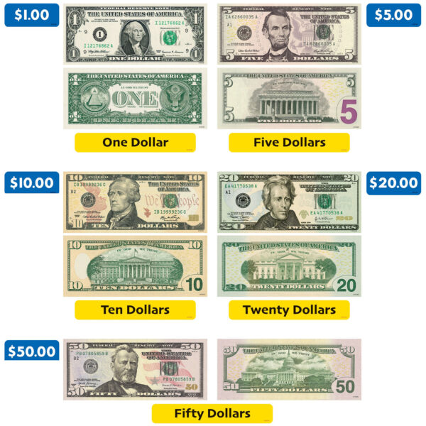 ERST-19014_3.jpg U.S. Money Interactive Set